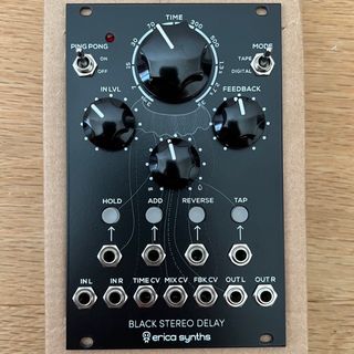 Erica Synths Black Stereo Delay(キーボード/シンセサイザー)