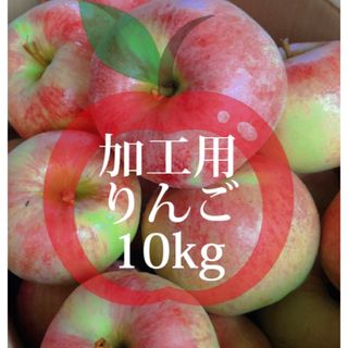 【産地直送】青森県産りんご  加工用  10kg(フルーツ)