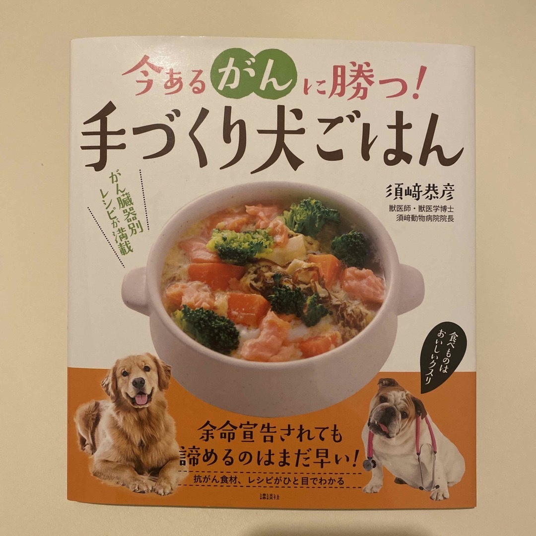 今あるがんに勝つ！手づくり犬ごはん 食べものはおいしいクスリ エンタメ/ホビーの本(住まい/暮らし/子育て)の商品写真