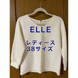 エル(ELLE)のレディース　トップス　ELLE ニット　38サイズ　白(ニット/セーター)