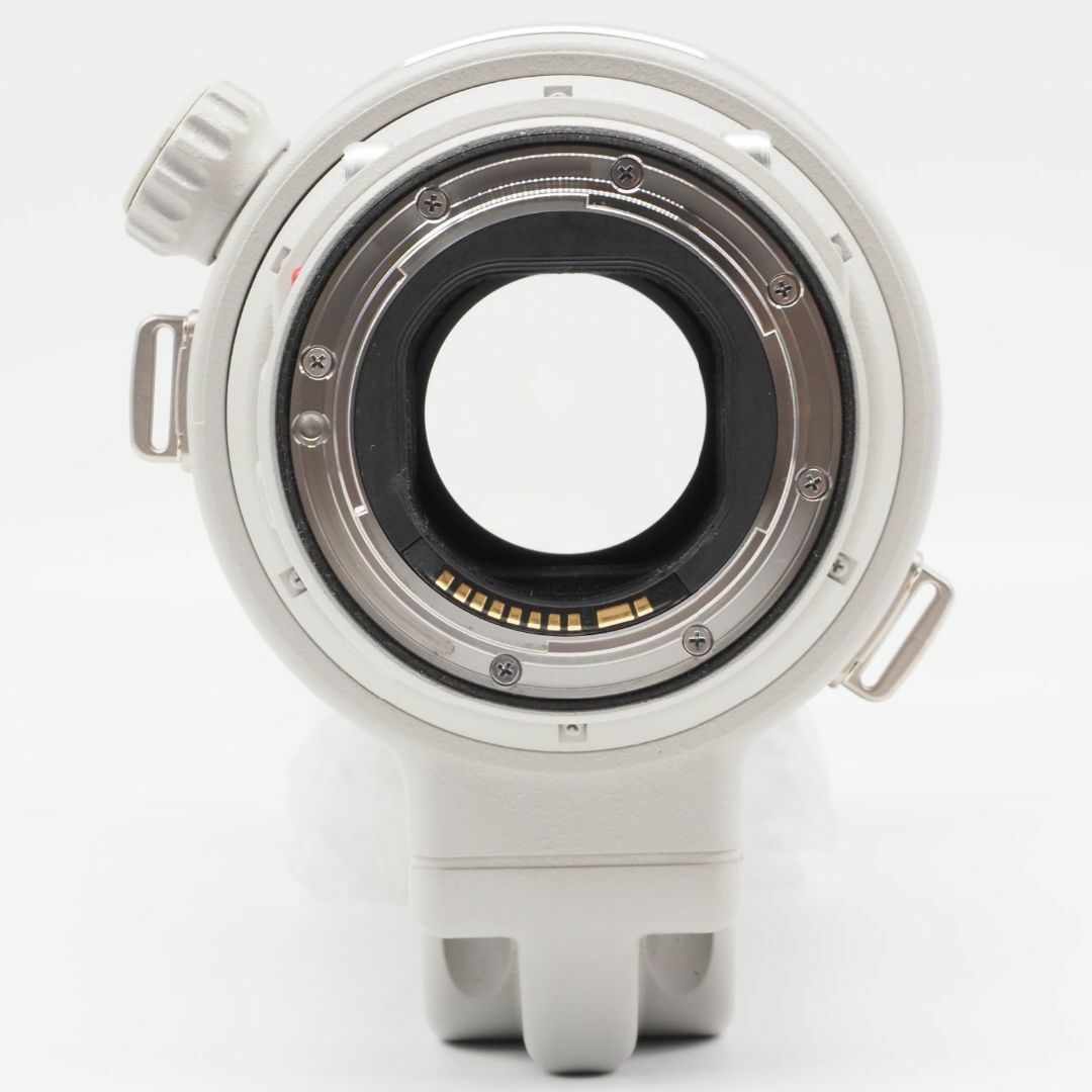 Canon(キヤノン)のCanon 単焦点望遠レンズ EF300mm F2.8L IS II USM スマホ/家電/カメラのカメラ(レンズ(単焦点))の商品写真