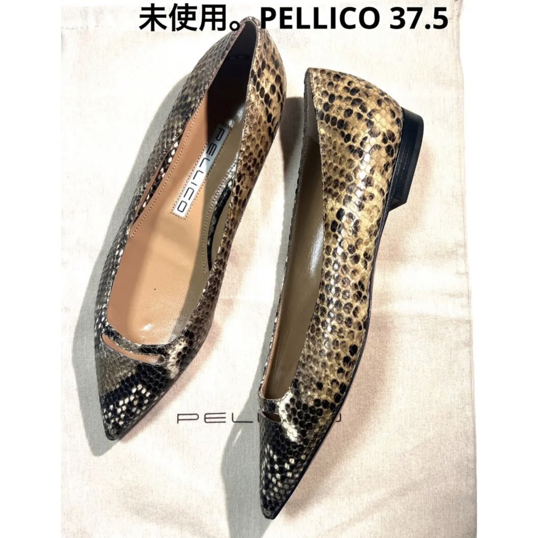 PELLICO  ペリーコ　パンプス 37.5 パイソン