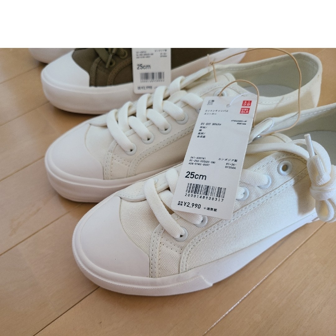 UNIQLO - ユニクロ コットンキャンバススニーカー 25センチ 新品タグ