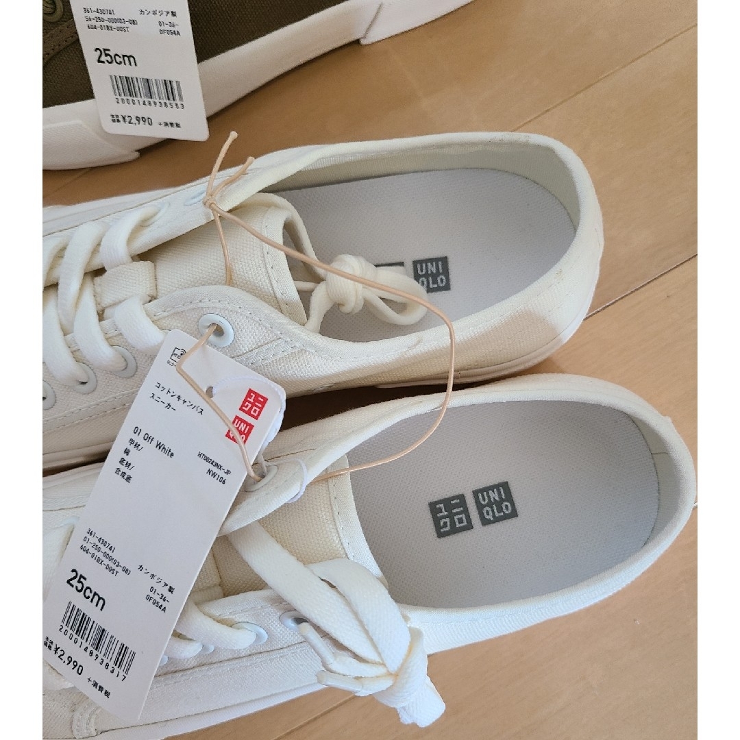 UNIQLO - ユニクロ コットンキャンバススニーカー 25センチ 新品タグ