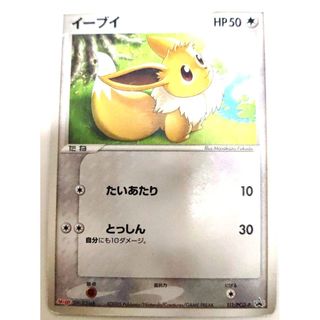 早い者勝ち！　美品　ポケモンカード ブラッキー プロモ ポケカ 25th