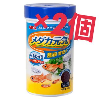 GEX - GEX グラステリア スリム600 6点セット & タイマー付5色LED