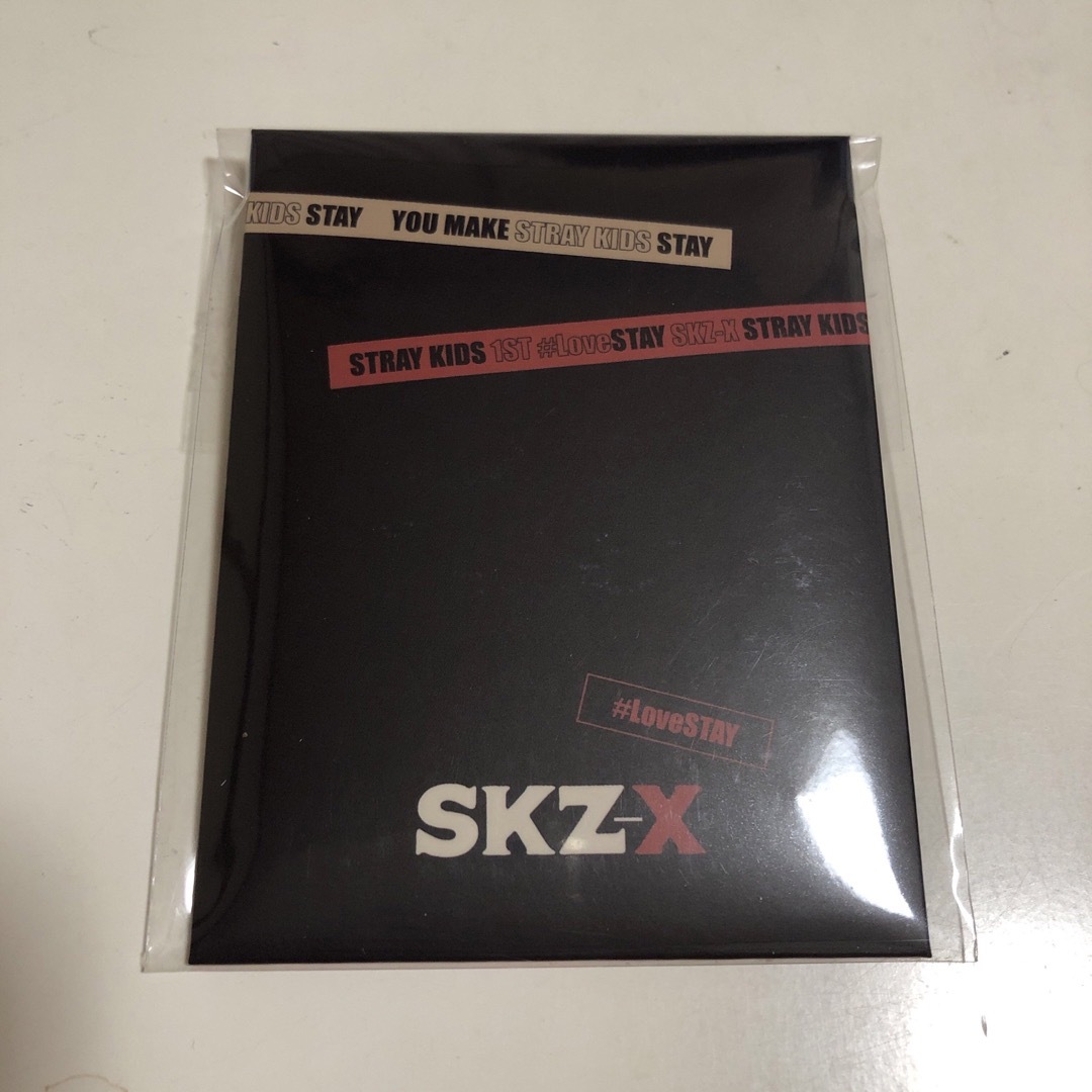 stray kids skz-x 証明写真　ペンミ　スキズ エンタメ/ホビーのCD(K-POP/アジア)の商品写真