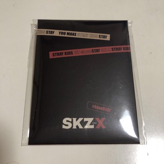stray kids skz-x 証明写真　ペンミ　スキズ(K-POP/アジア)