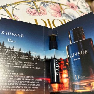 ディオール(Christian Dior) ソバージュ ユニセックス 香水の通販 100