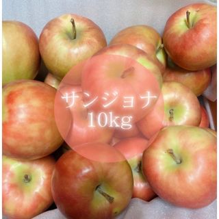 【産地直送】青森県産りんご  10kg(フルーツ)