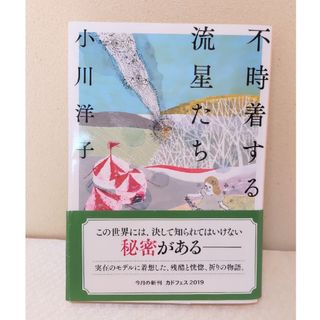 小説「不時着する流星たち」小川洋子(文学/小説)