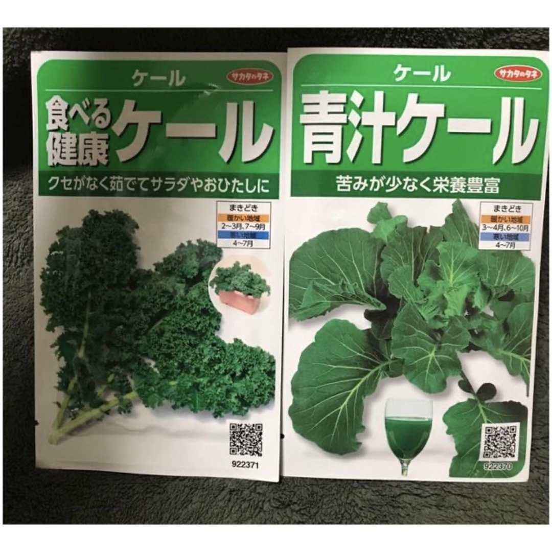 ケール　2種 食品/飲料/酒の食品(野菜)の商品写真