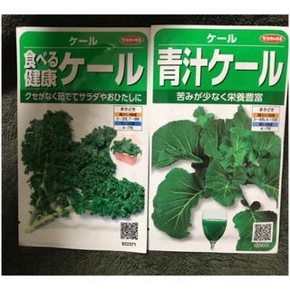 ケール　種　2種(野菜)