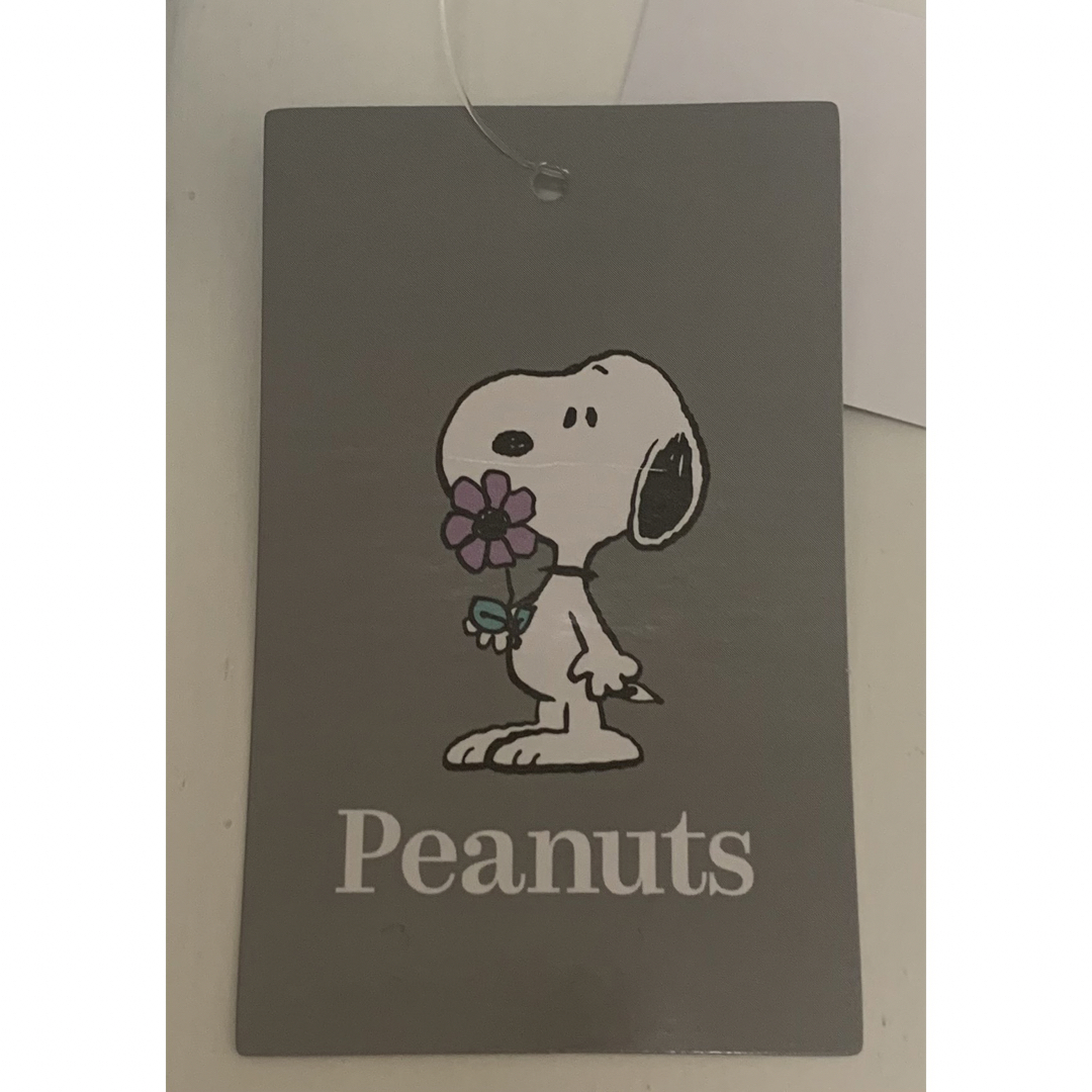 PEANUTS(ピーナッツ)のSNOOPY  ミニトート レディースのバッグ(トートバッグ)の商品写真