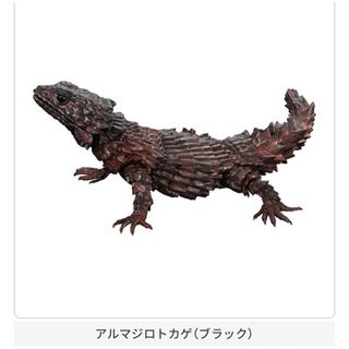 オンライン版　いきもの大図鑑　アルマジロトカゲ　ブラック　ガチャ　ガシャポン(その他)