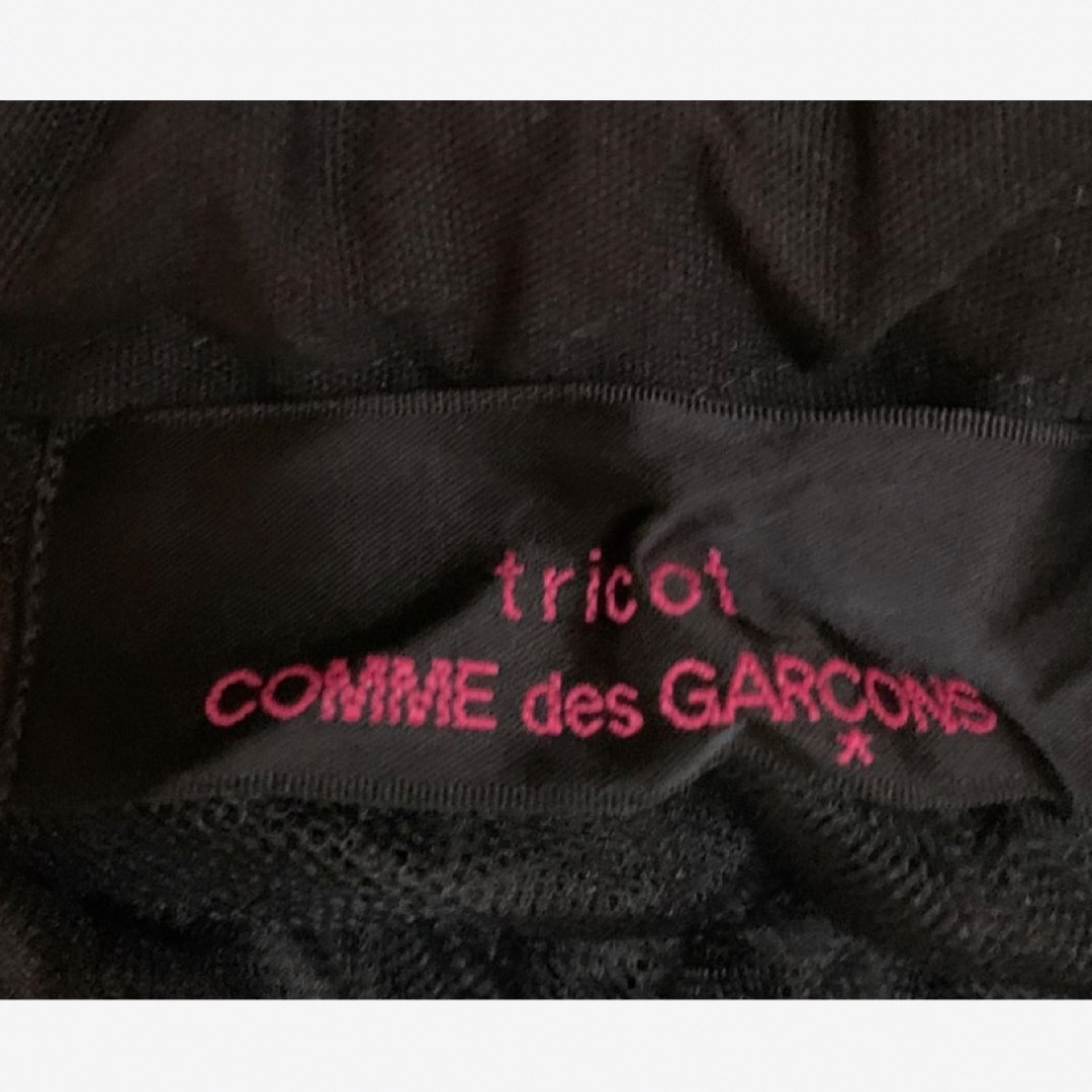 tricot COMME des GARCONS(トリココムデギャルソン)のトリココムデギャルソン チュールロングスカート レディースボトムス 日本製 レディースのスカート(ロングスカート)の商品写真