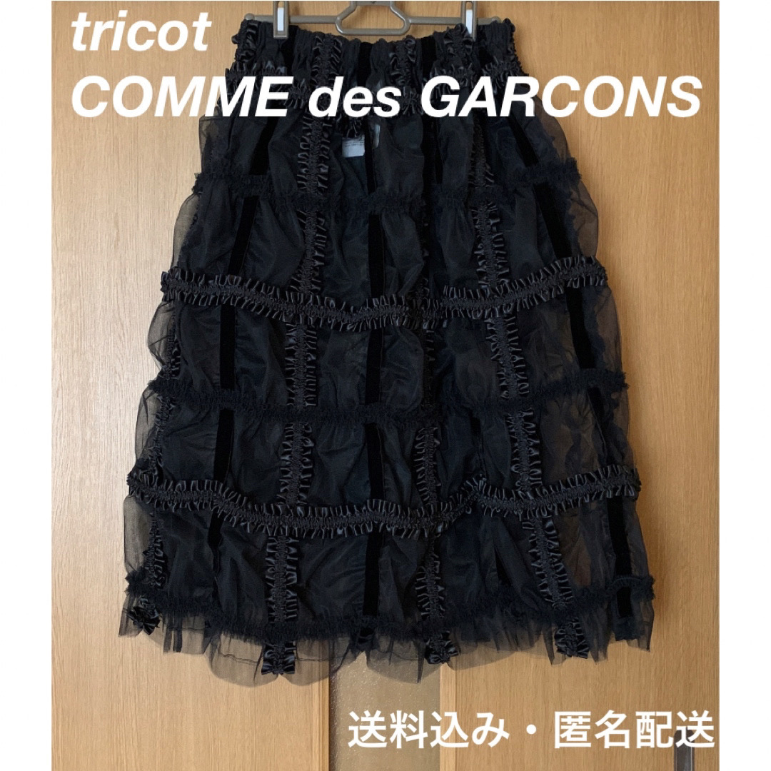 tricot COMME des GARCONS(トリココムデギャルソン)のトリココムデギャルソン チュールロングスカート レディースボトムス 日本製 レディースのスカート(ロングスカート)の商品写真