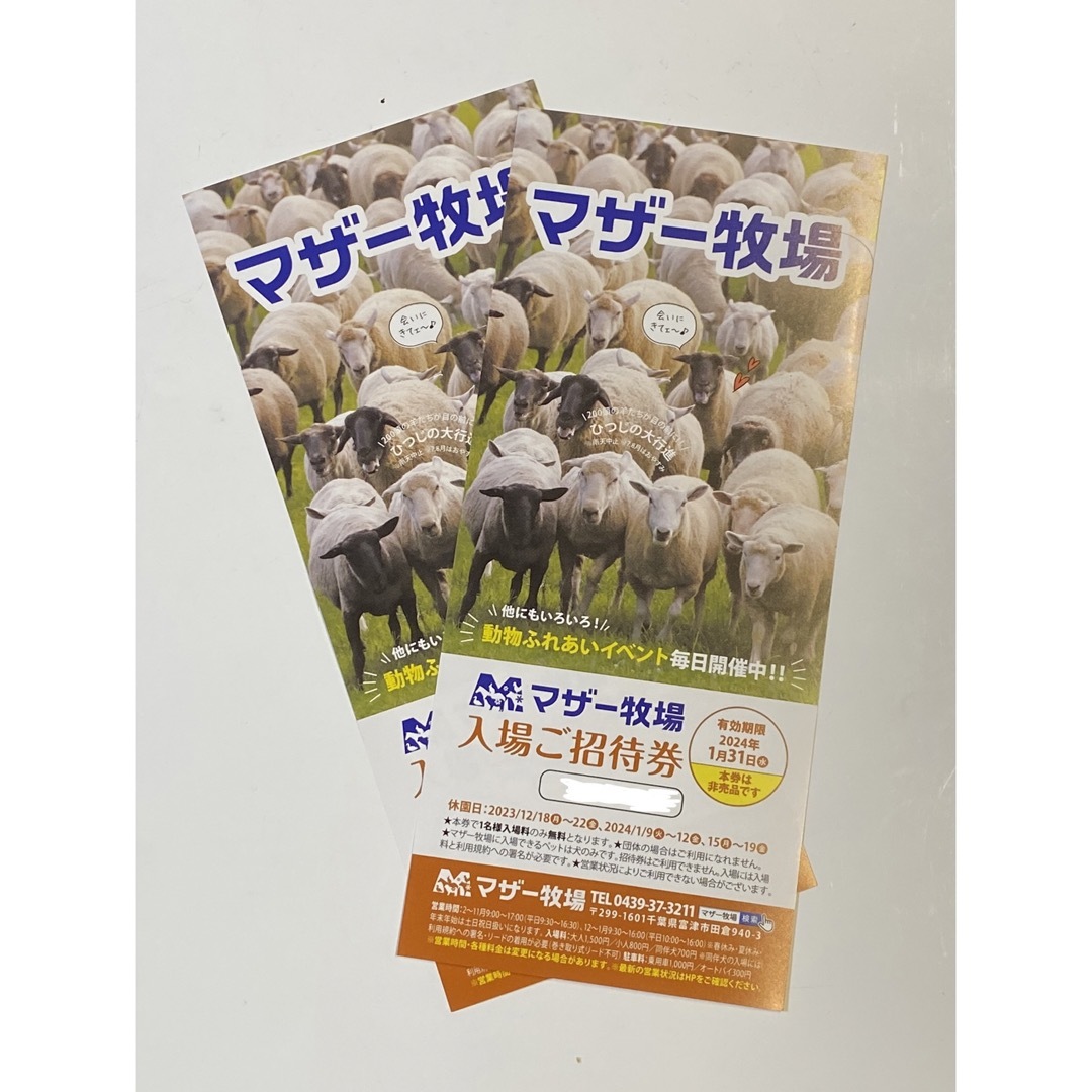 マザー牧場 入場ご招待券 5枚 2024年6月30日(日)まで - 遊園地・テーマ