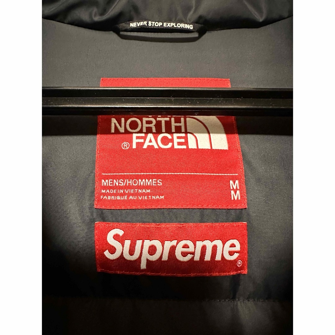 Supreme(シュプリーム)のSupreme North Face Faux Fur Nuptse ヌプシ メンズのジャケット/アウター(ダウンジャケット)の商品写真