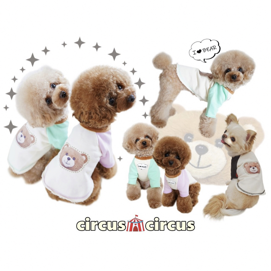 circus(サーカス)のサーカスサーカス　犬服  BEARFACEスポカジラグランスウェット　XXS その他のペット用品(犬)の商品写真