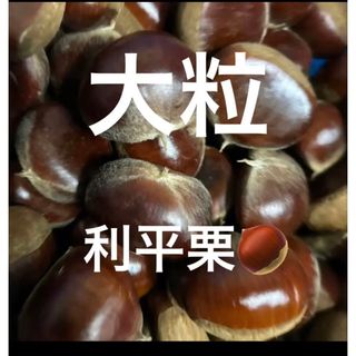 秋栗　生栗　採りたて　利平栗　栃木県産　生栗箱込み　1️⃣kg(フルーツ)