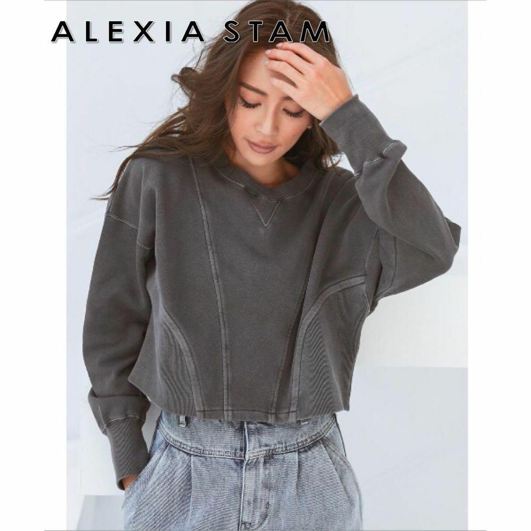 ALEXIA STAM Unique Switching Sweatshirt