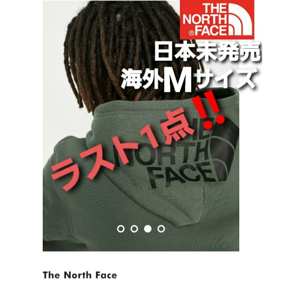 フードロゴ パーカー THE NORTH FACE