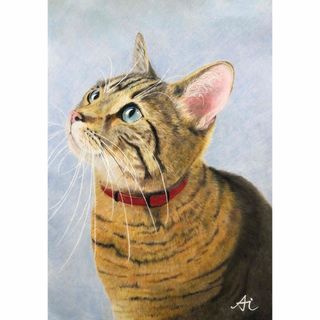 猫　原画　絵画　色鉛筆　B5(絵画/タペストリー)