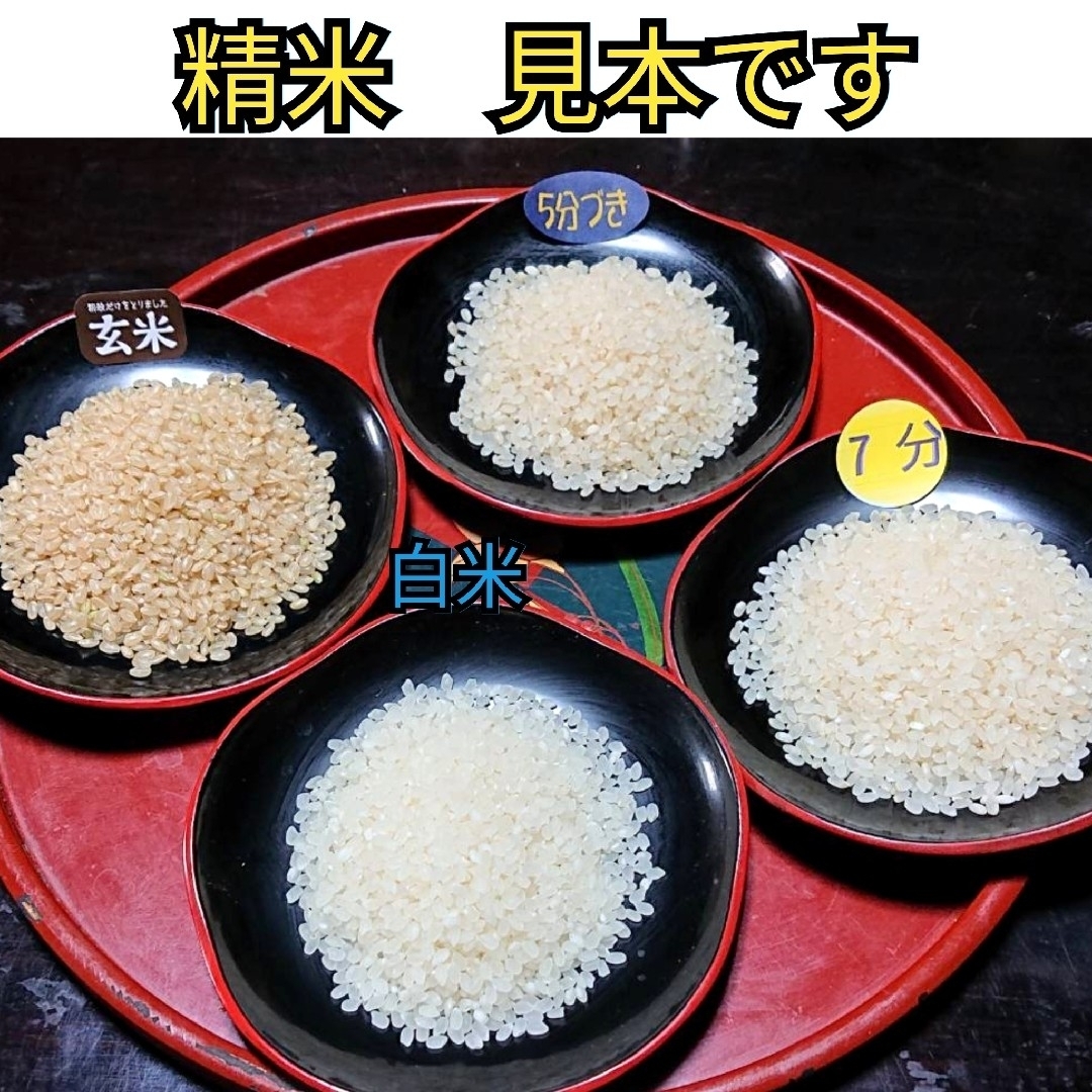 R5年富山県産コシヒカリ玄米5kg×4袋✳️関東、東海、信越、関西地方限定　米/穀物