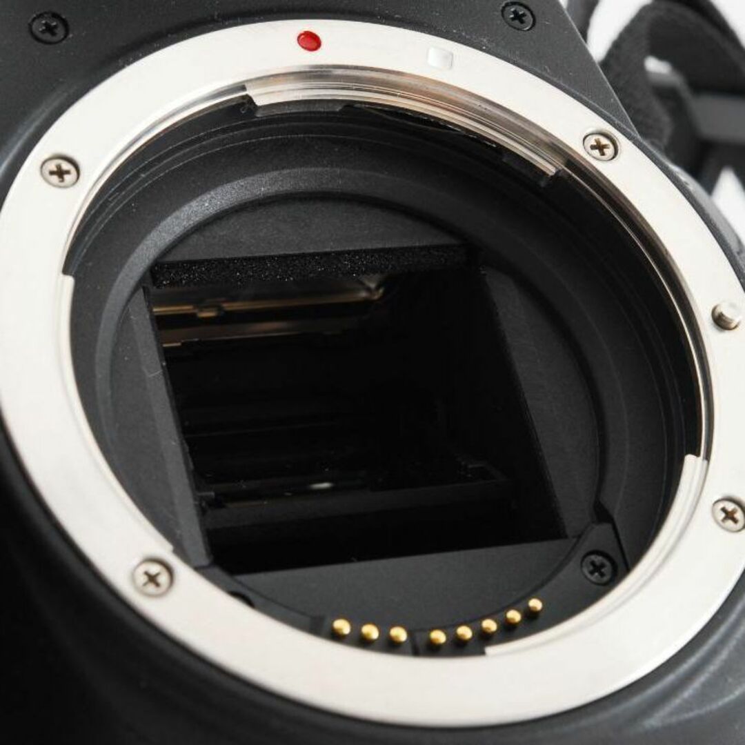 【箱付き極美品】Canon EOS Kiss X9i  ダブルズームキット
