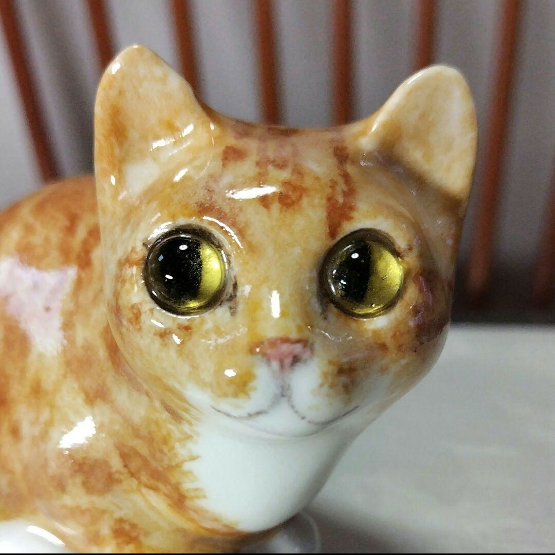 ウィンスタンレイキャット(ケンジントンキャット)ジンジャー猫(その①) 1