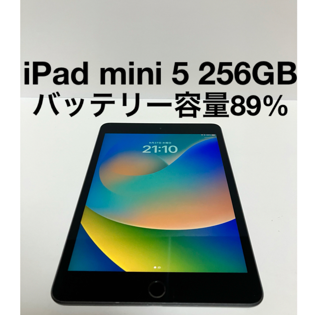 iPad mini 5 第5世代 256GB  Apple アップル WiFiタブレット