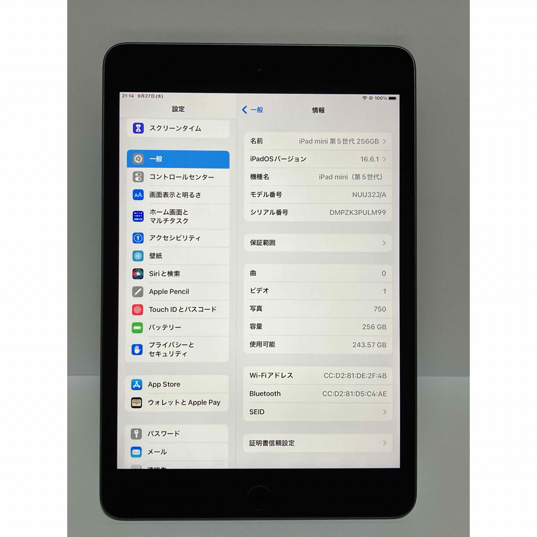 iPad(アイパッド)のiPad mini 5 第5世代 256GB  Apple アップル WiFi スマホ/家電/カメラのPC/タブレット(タブレット)の商品写真