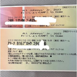 ジャニーズジュニア(ジャニーズJr.)のALL Johnnys'Jr.2023わっしょいCAMP! in Dome 半券(男性アイドル)