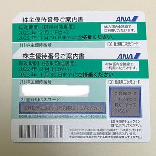 エーエヌエー(ゼンニッポンクウユ)(ANA(全日本空輸))の2枚　ANA株主優待券(その他)