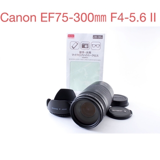 Canon - フード付 キャノン 超望遠レンズ Canon EF 75-300mmの通販 by
