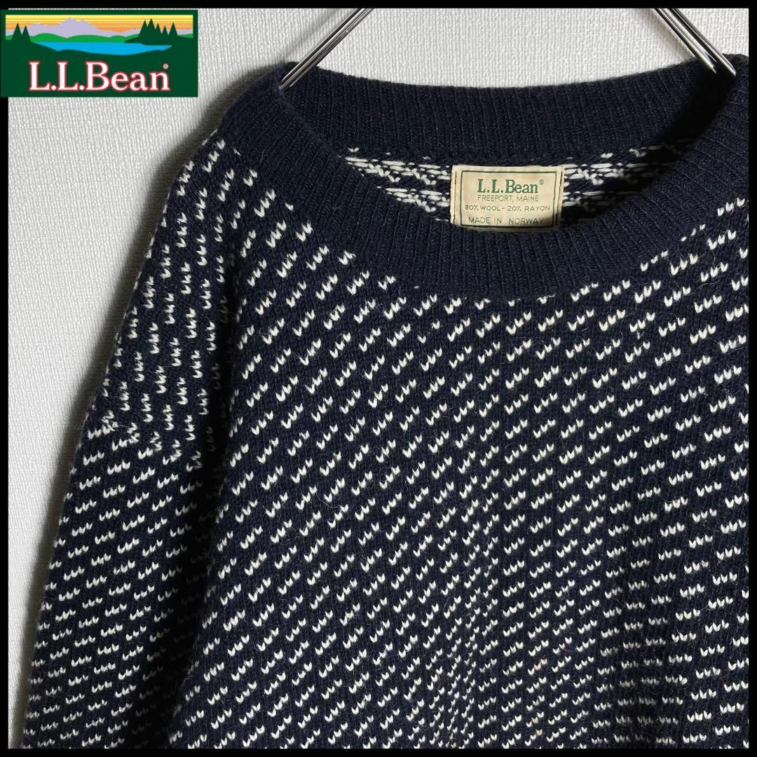 59cm袖丈【在原みゆ紀着用】80s L.L.bean エルエルビーン バーズアイニット