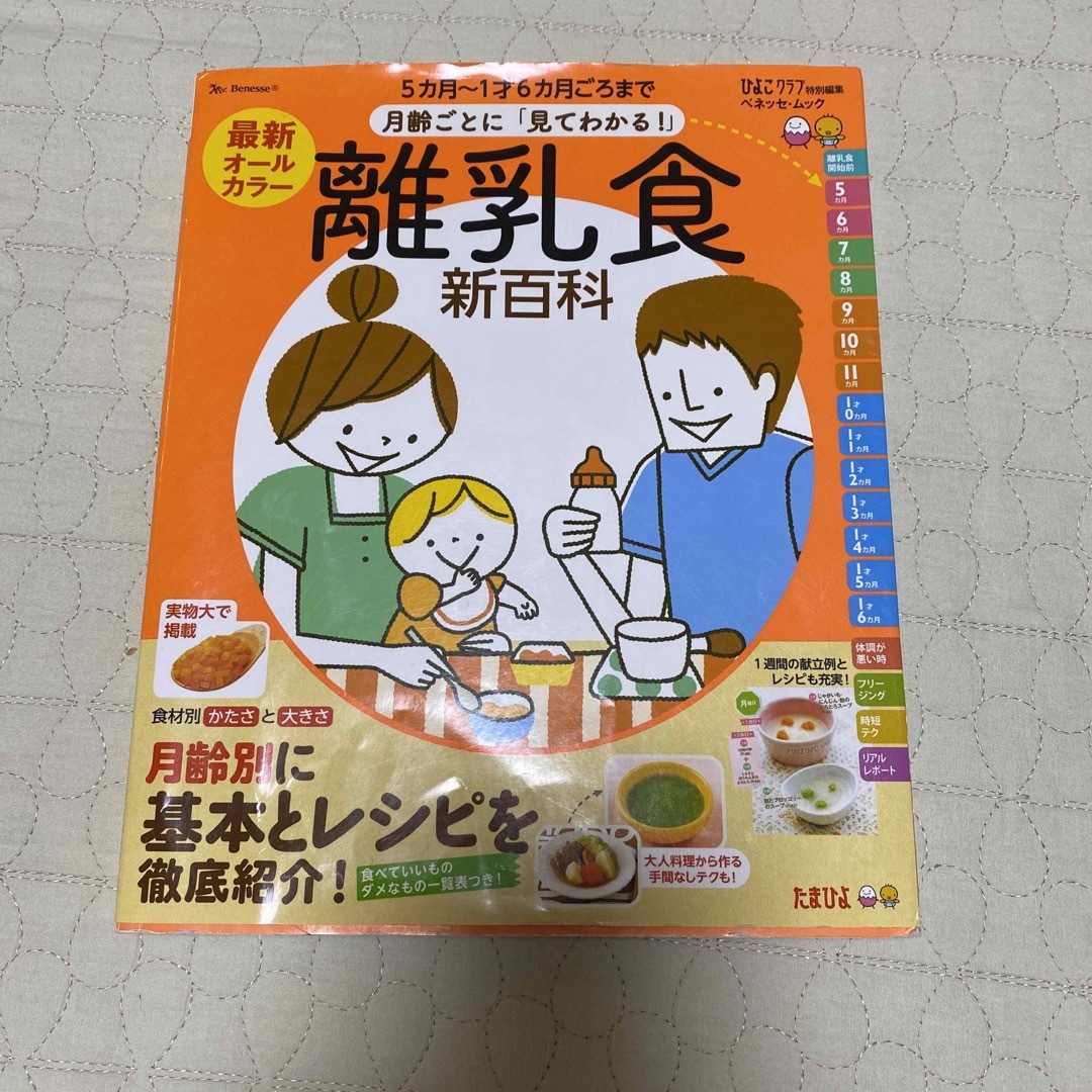 離乳食本 エンタメ/ホビーの本(住まい/暮らし/子育て)の商品写真