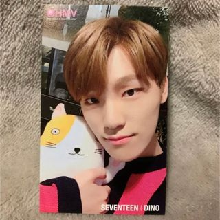 SEVENTEEN ディノ トレカ HMV SVT セブチ ぬいぐるみ