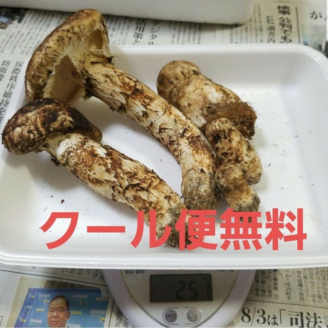 【 松茸 】岩手県産250 g 国産 クール便 送料無料(一部追加送料あり) | フリマアプリ ラクマ