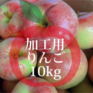 【産地直送】青森県産りんご  10kg(フルーツ)