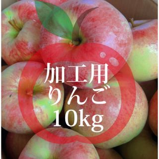 【産地直送】青森県産りんご  10kg(フルーツ)