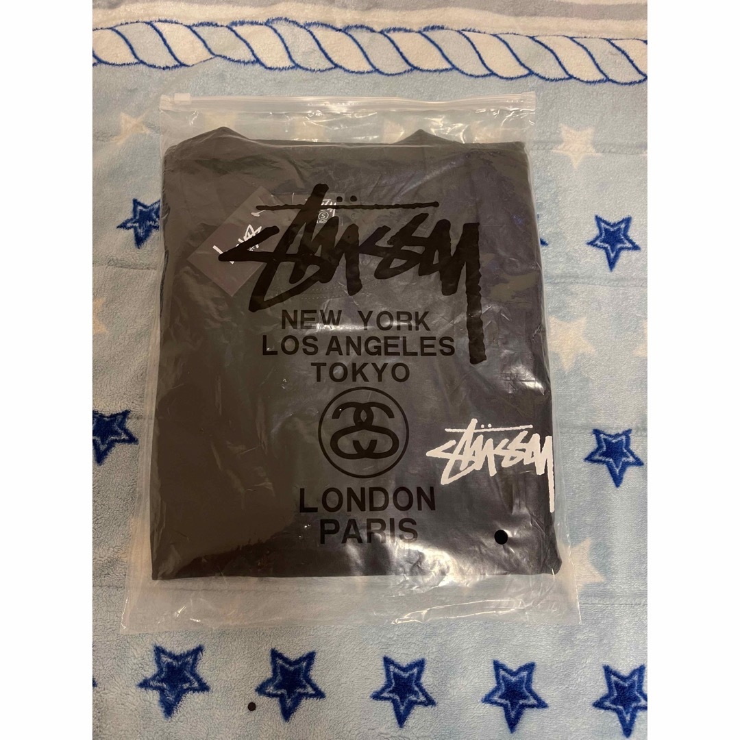 STUSSY(ステューシー)のステューシー STUSSY ITP FLOWER TEE Tシャツ　 メンズのトップス(Tシャツ/カットソー(半袖/袖なし))の商品写真