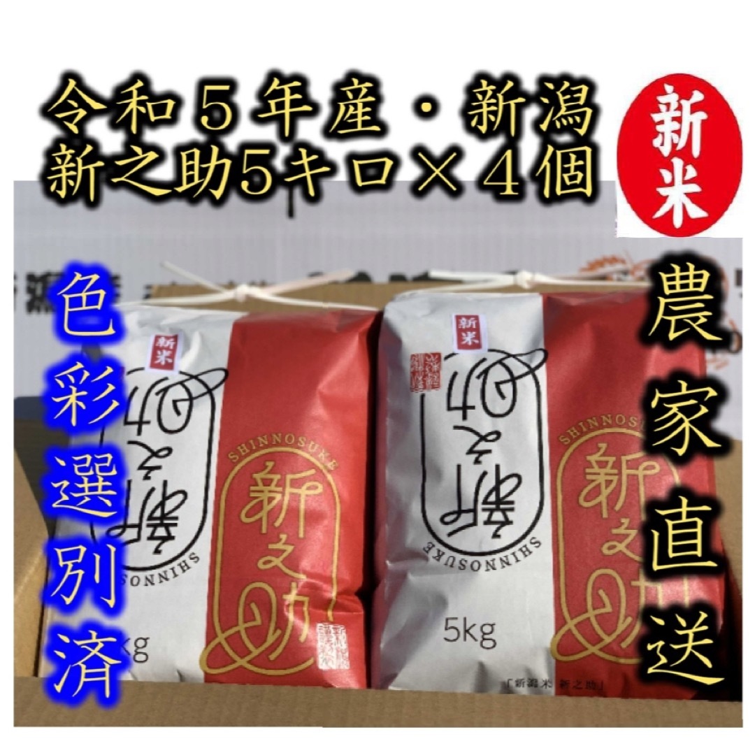 白米5kg　新潟　4個☆農家直送☆色彩選別済04-　新米　×　令和5年産　新之助