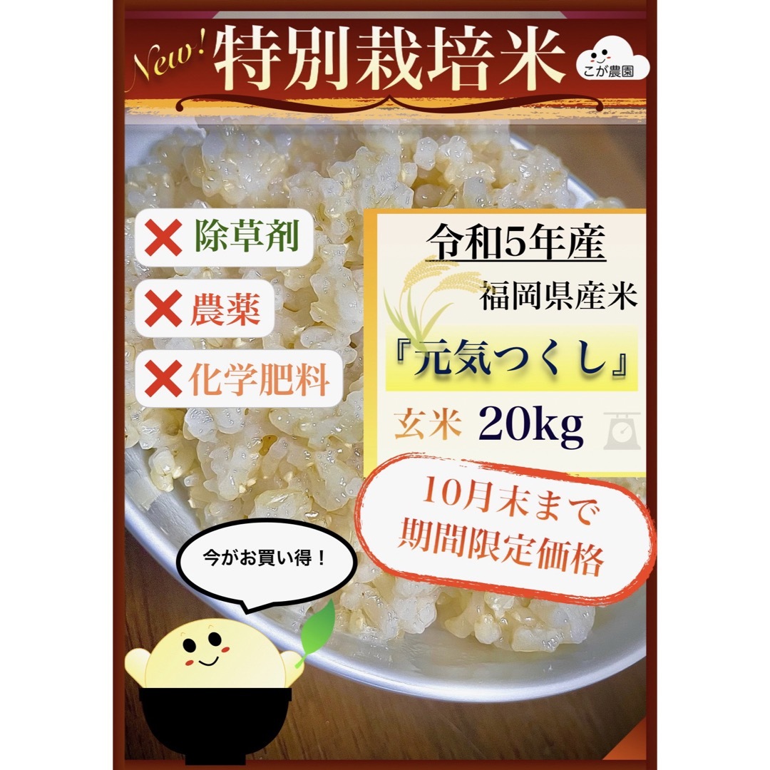 限定品準自然米　福岡県産「元気つくし」令和５年産　玄米20kg  発芽玄米におすすめ