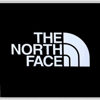 ザノースフェイス(THE NORTH FACE)のノースフェイスステッカー　2枚セット(ステッカー)