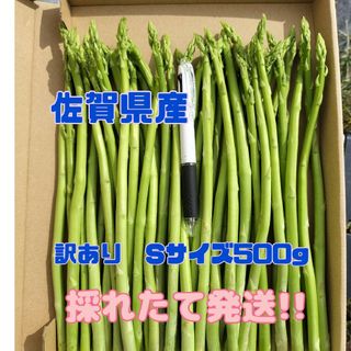 Sサイズ訳あり　グリーンアスパラガス500g(野菜)