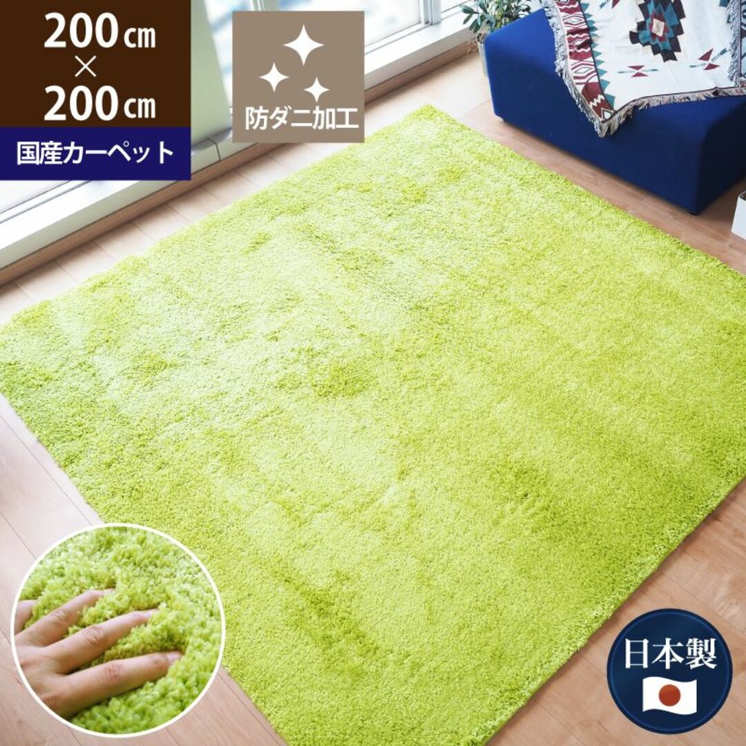 ラグ 国産 カーペット 日本製 防ダニ 「レセルバ」 グリーン 200×200㎝