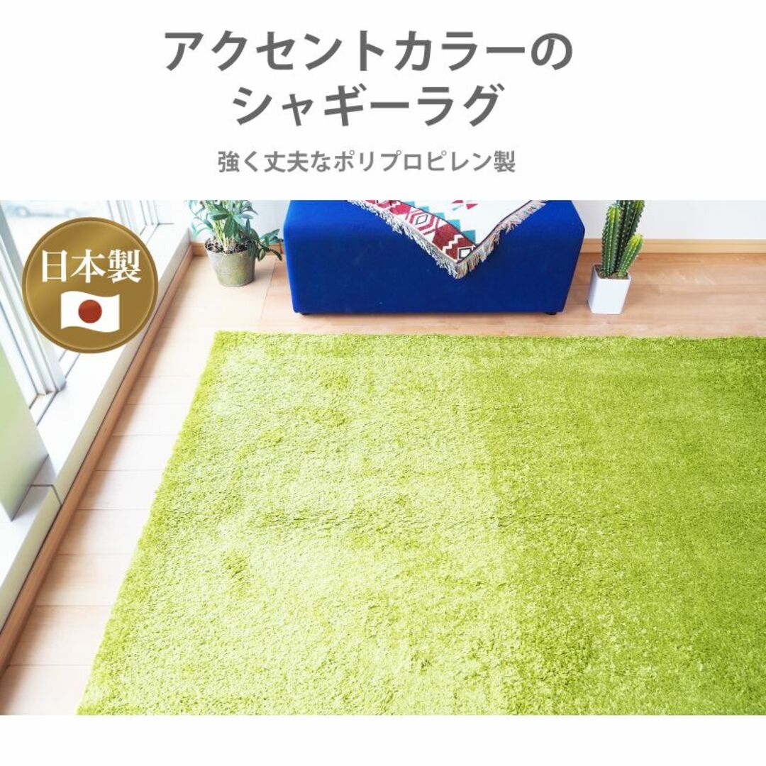 ラグ 国産 カーペット 日本製 防ダニ 「レセルバ」 グリーン 200×200