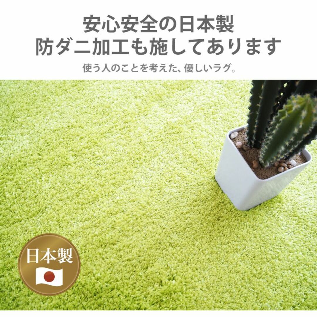 ラグ 国産 カーペット 日本製 防ダニ 「レセルバ」 グリーン 200×200